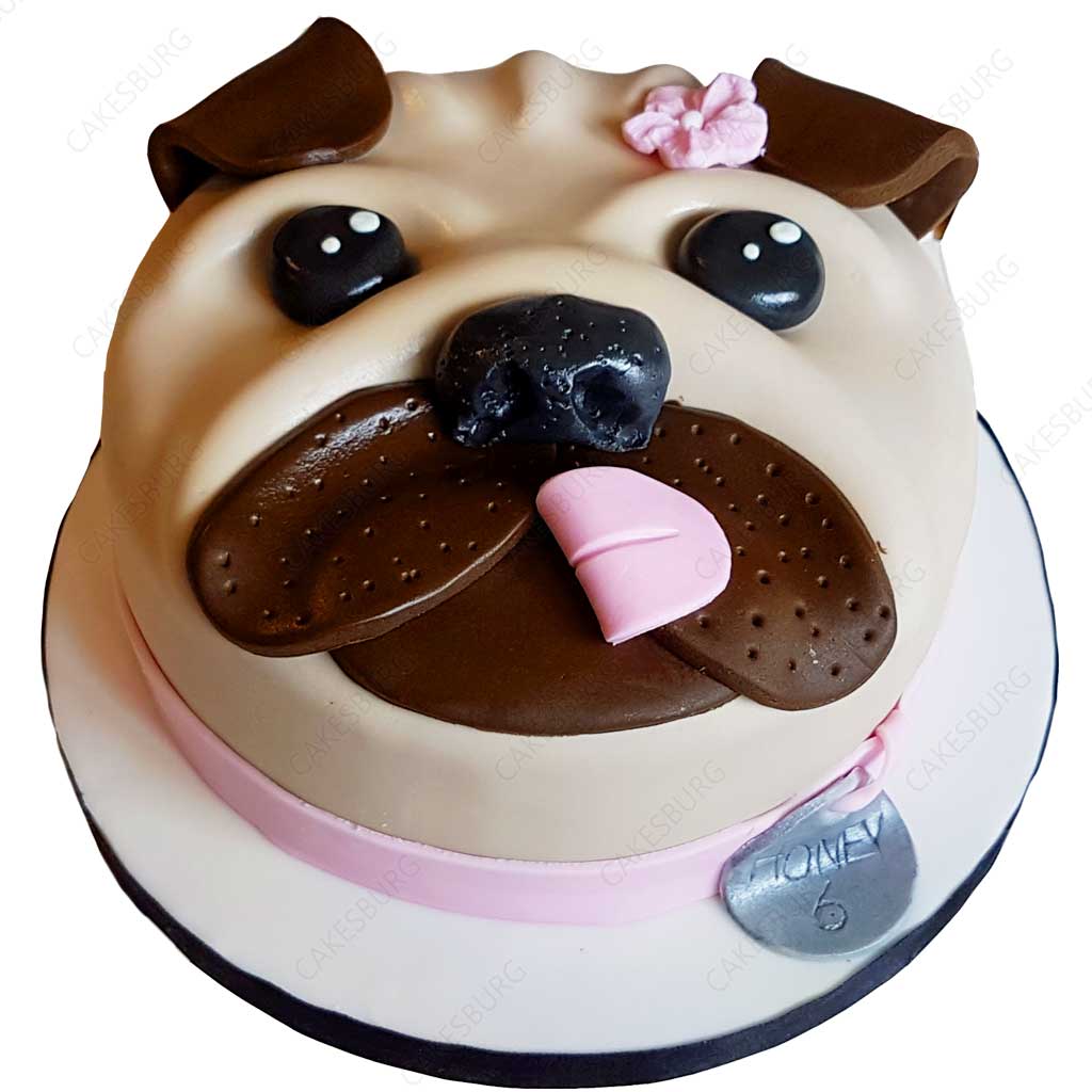 Dog Cake #1