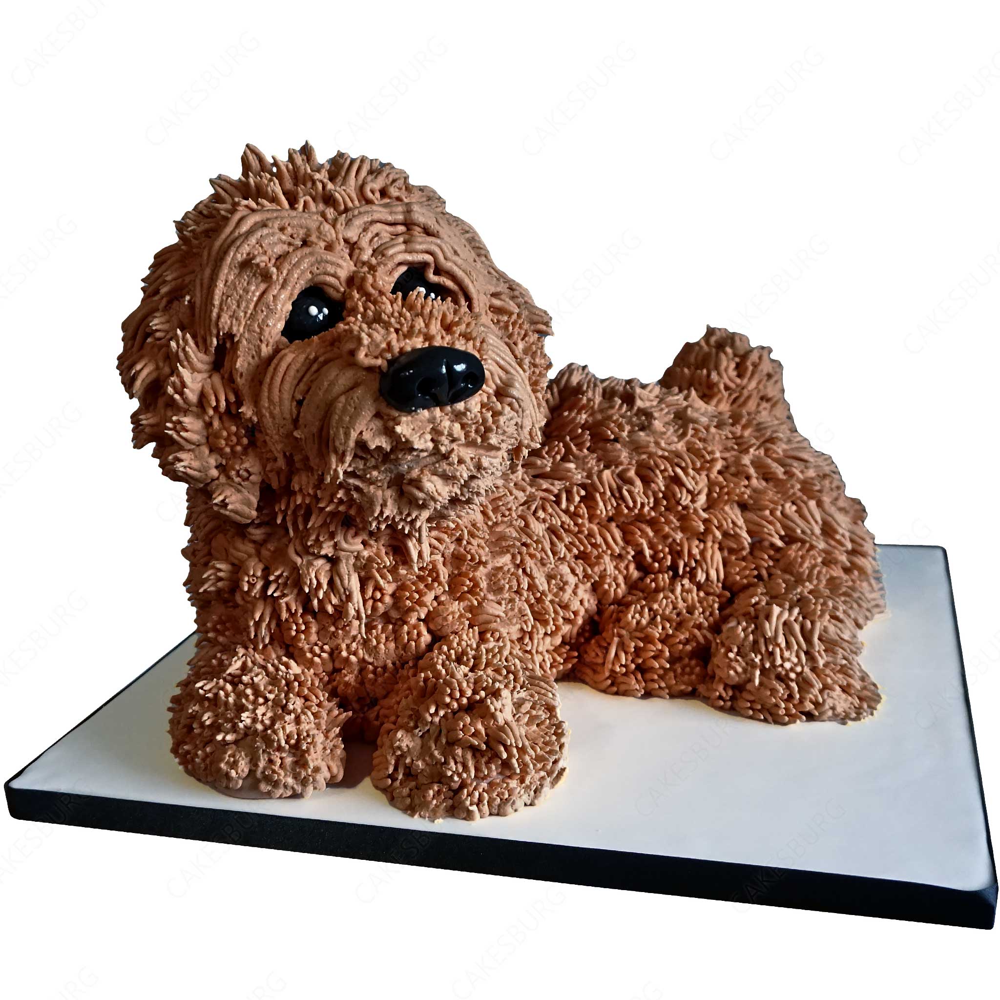 Cockapoo Dog Cake - Brown