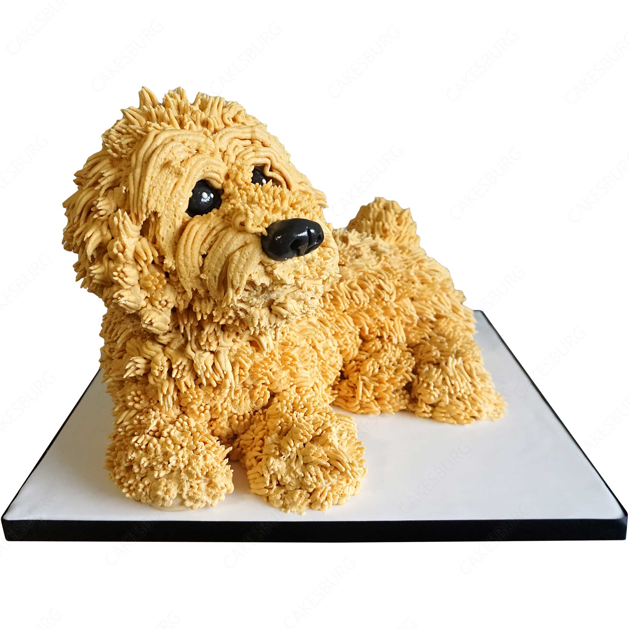 Cockapoo Dog Cake - Golden