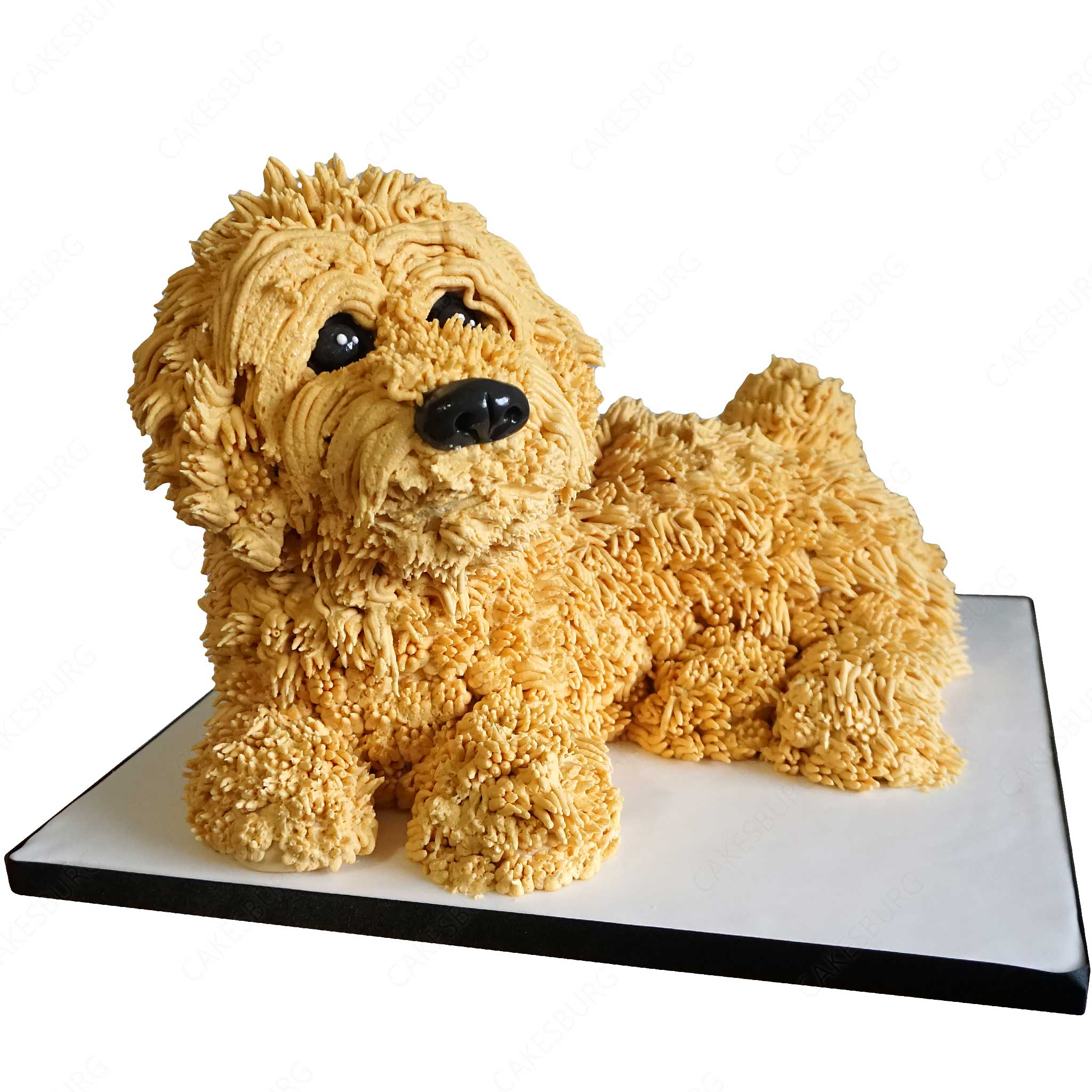 Cockapoo Dog Cake - Golden