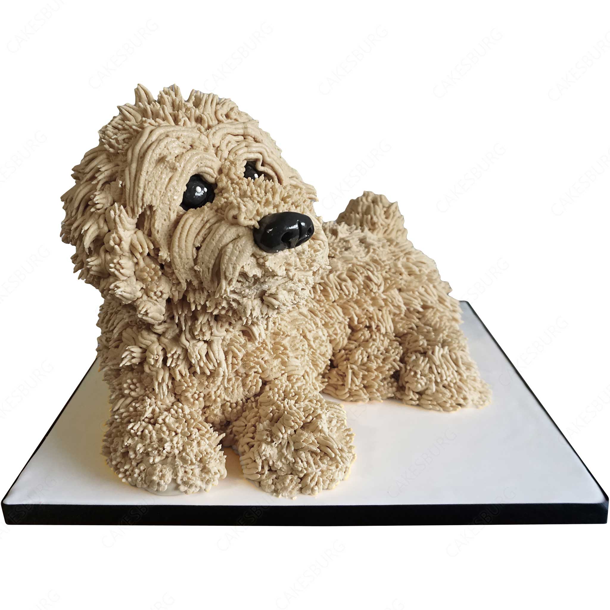 Cockapoo Dog Cake - White