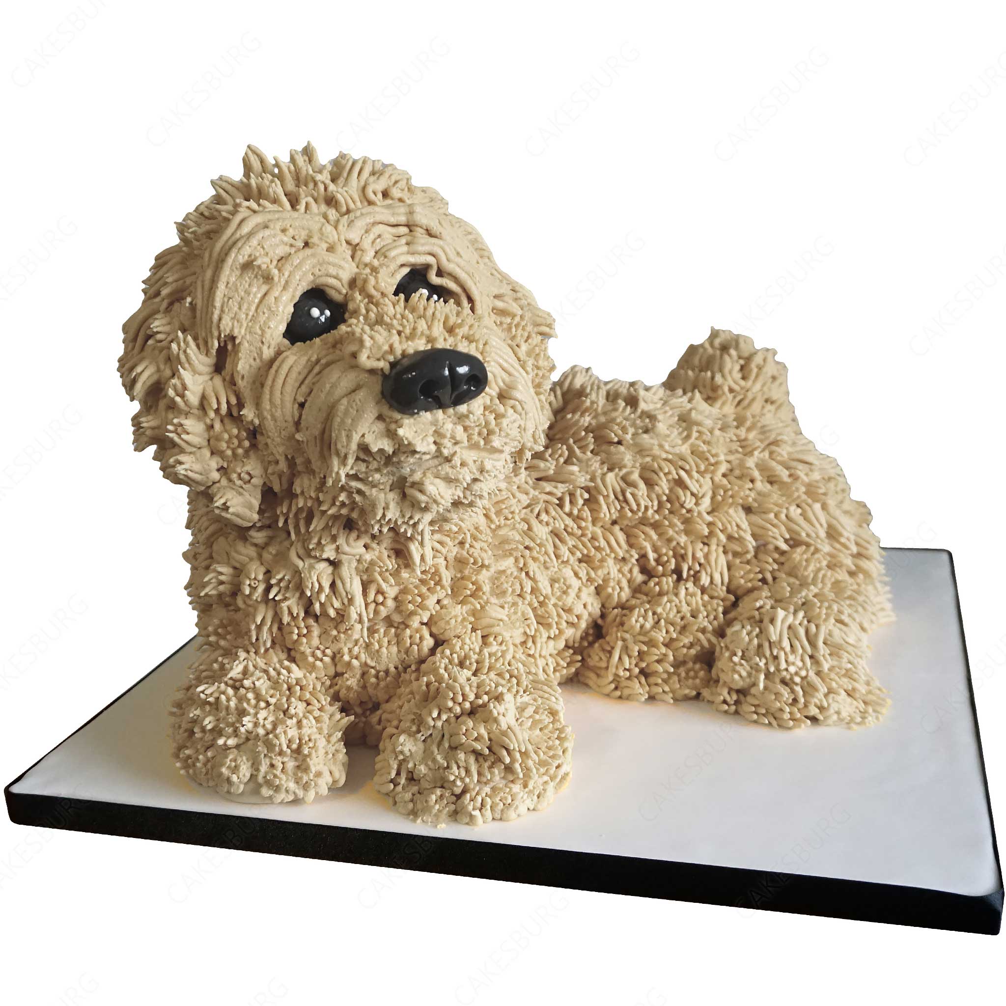 Cockapoo Dog Cake - White
