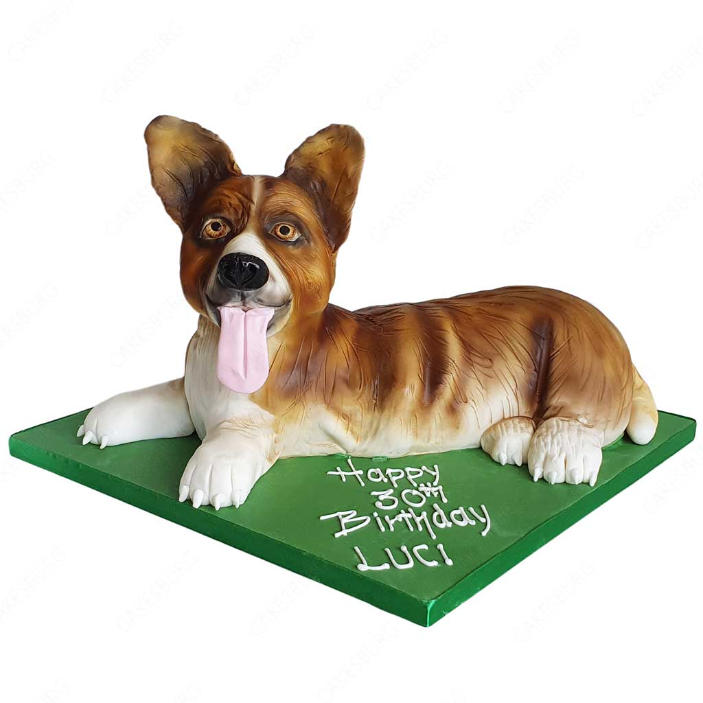 Dog Cake #4