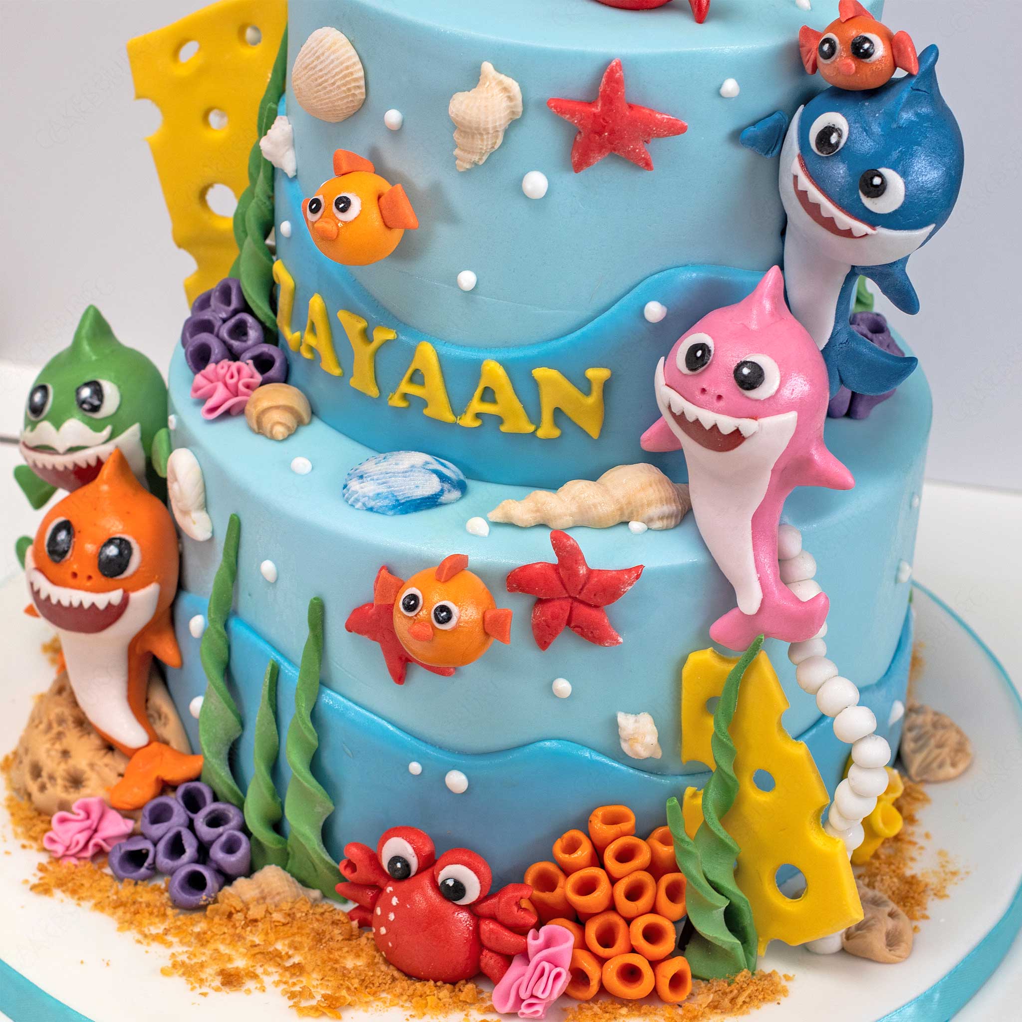 Baby Shark Cake #3