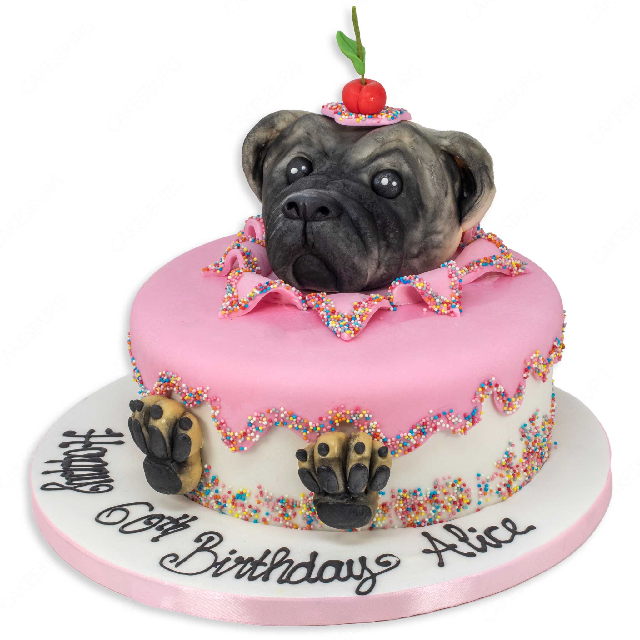 Edible Fondant Pug Head and Paws Cake Topper