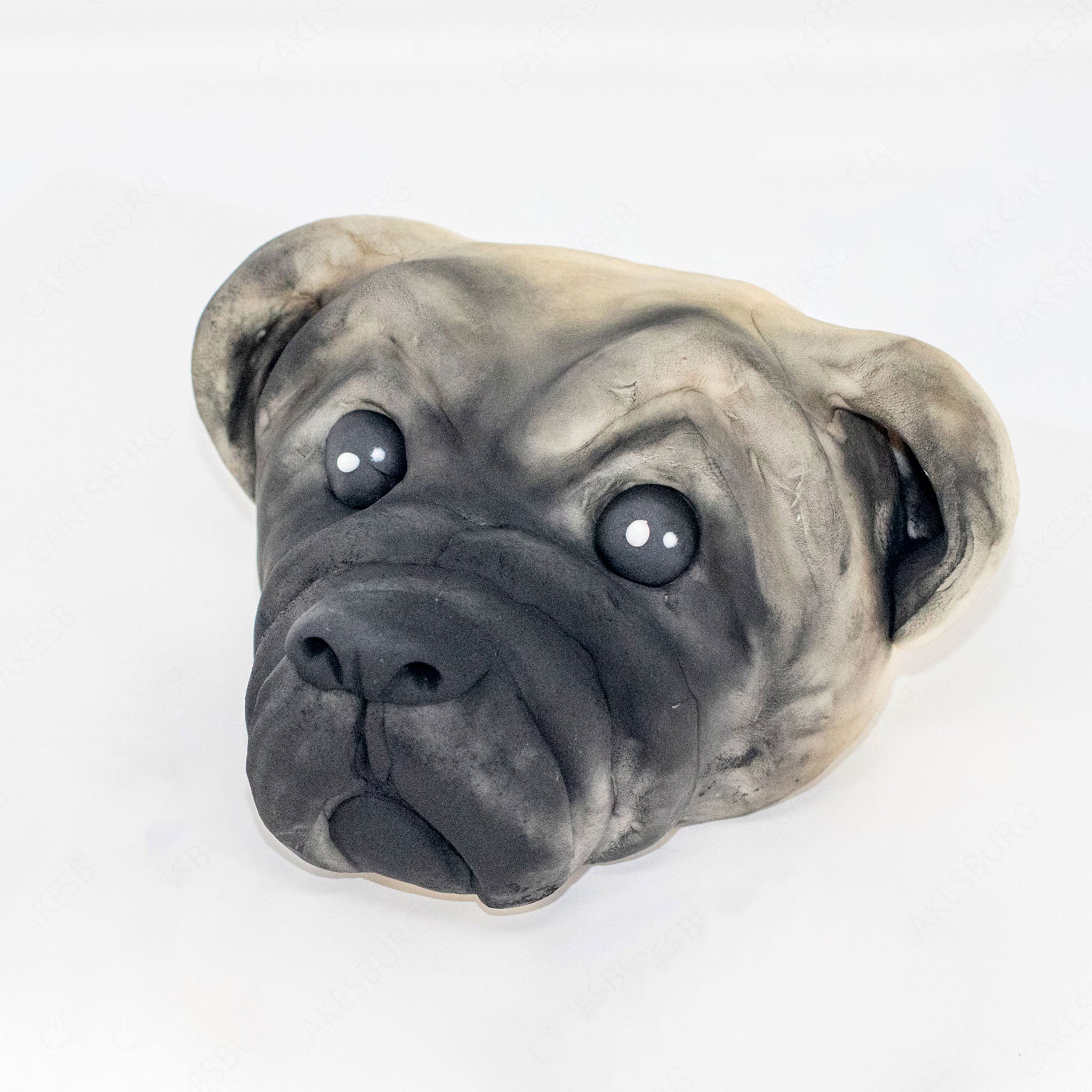 Edible Fondant Pug Head and Paws Cake Topper