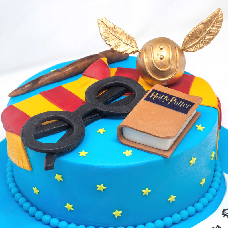 Harry Potter Cake