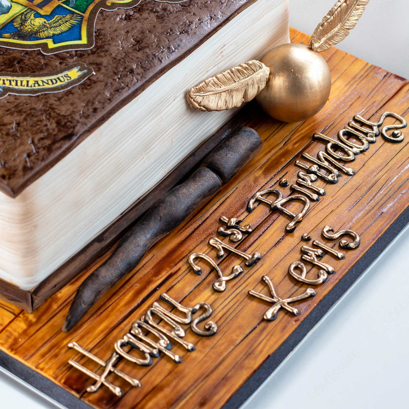 Harry Potter Novel Book Cake