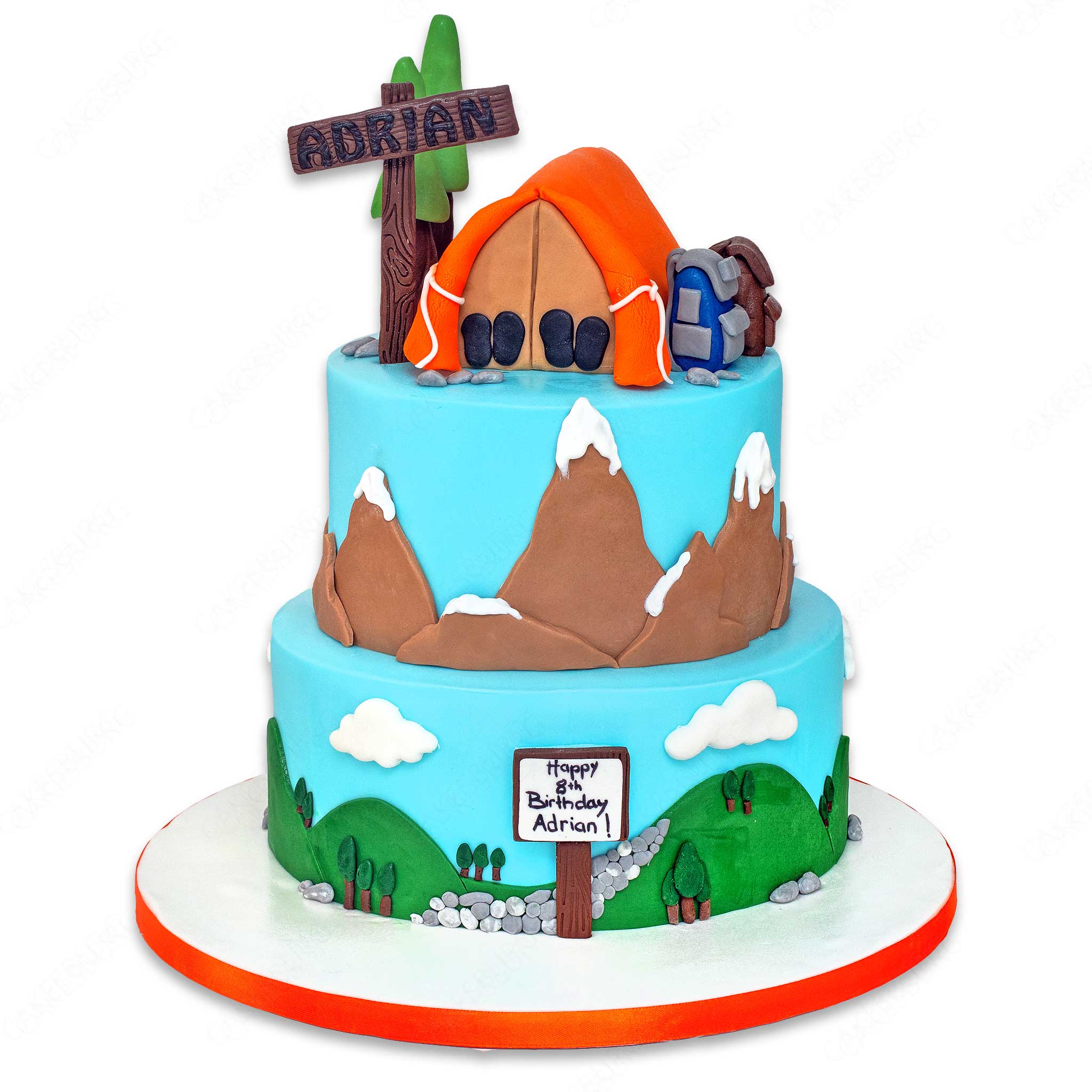 Camping Cake #2