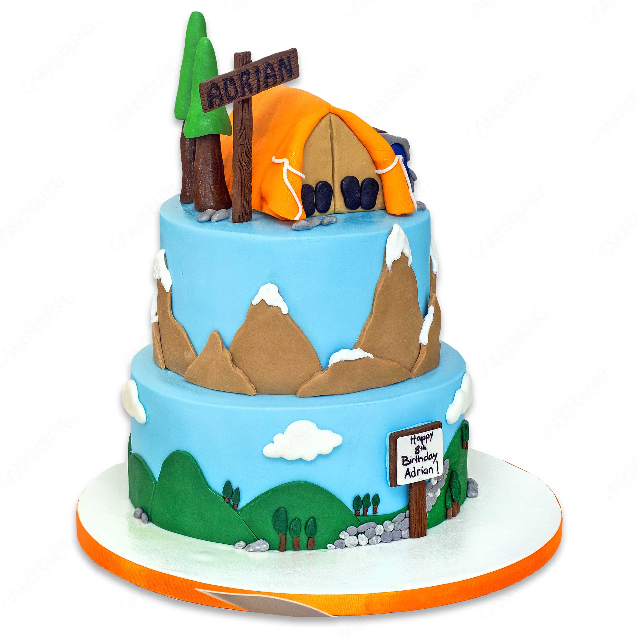 Camping Cake #2