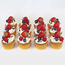 Premium Berries Cupcake Box
