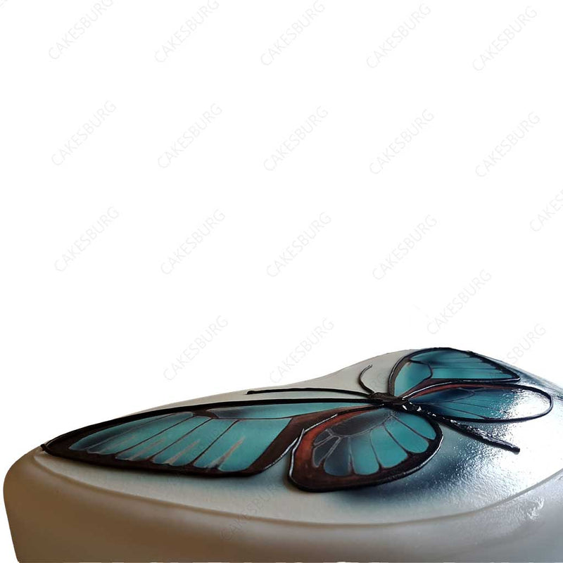 Butterfly Wings Cake