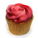 Premium Plain Red Cupcake Box