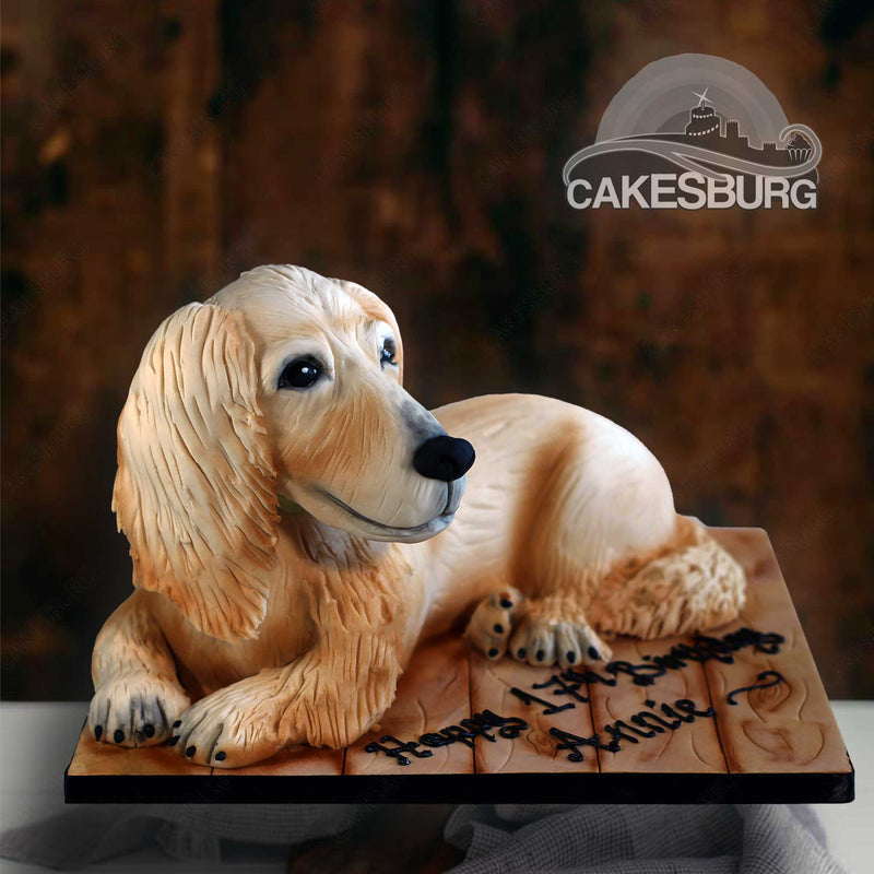 Dachshund Dog Cake