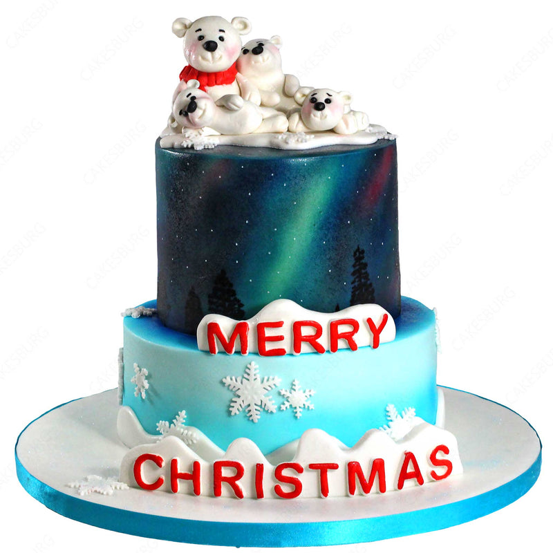 Cakes by Cathy - Merry Christmas cake! Hope you all have a... | Facebook