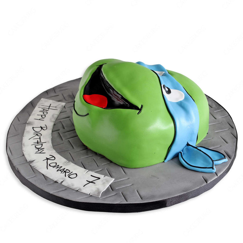 Ninja Turtles Head Cake