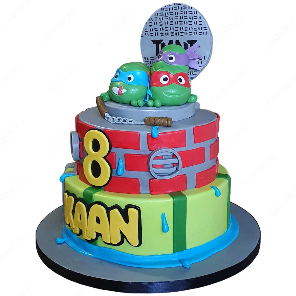 Ninja Turtles Cake #3