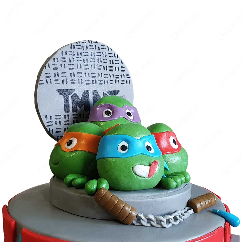 Ninja Turtles Cake #3