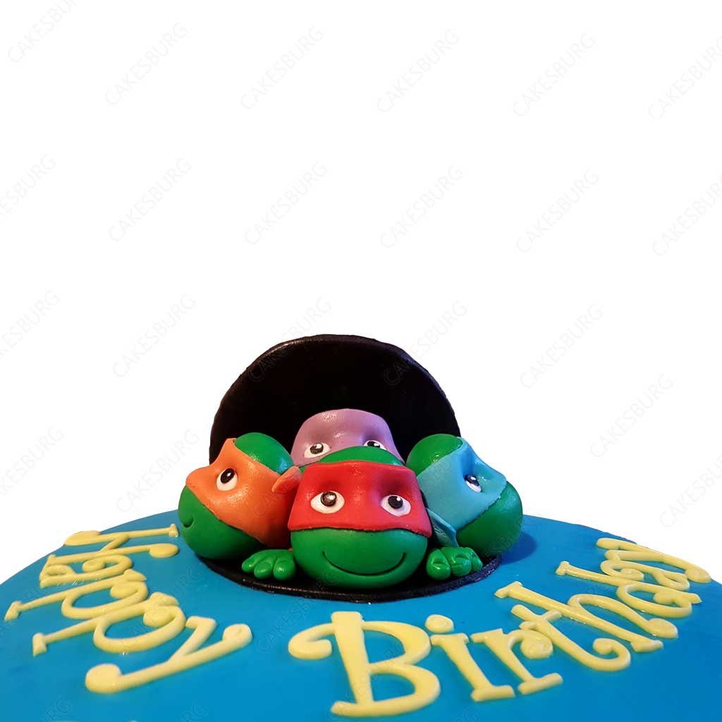 Ninja Turtles Cake #1