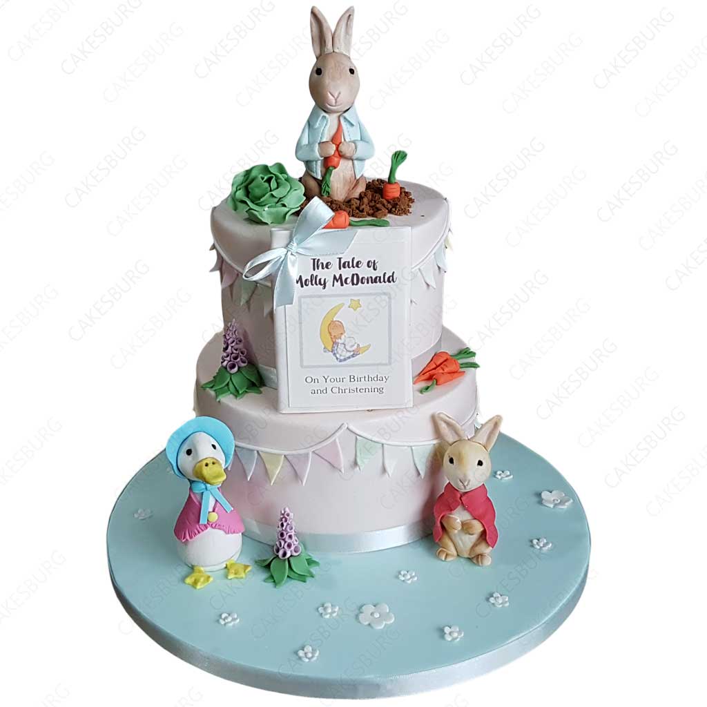 Peter Rabbit Cake #3