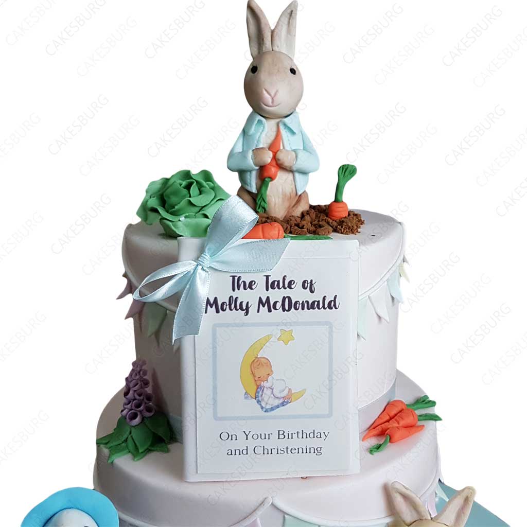 Peter Rabbit Cake #3