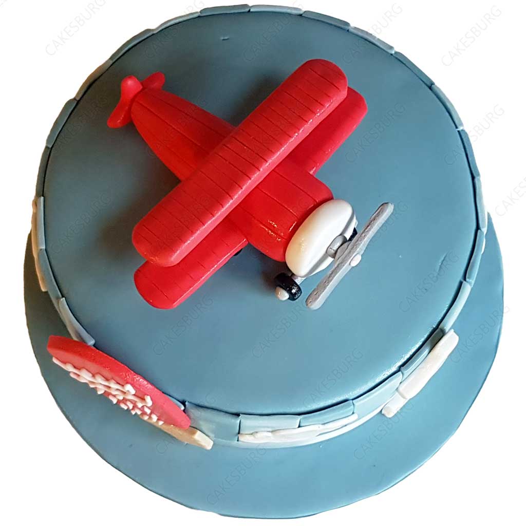 Plane On The Cloud Cake #2