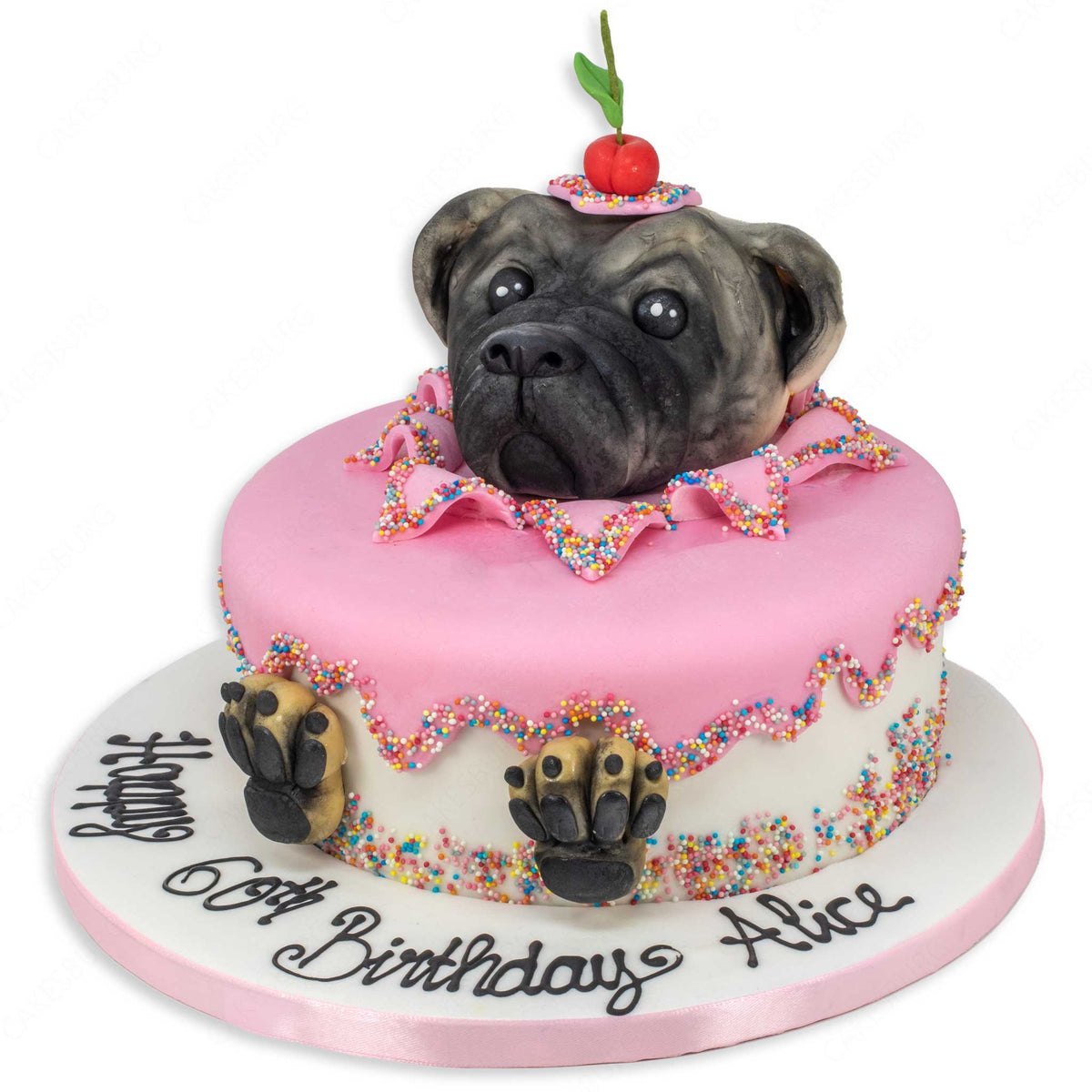 Pug cake ideas hotsell