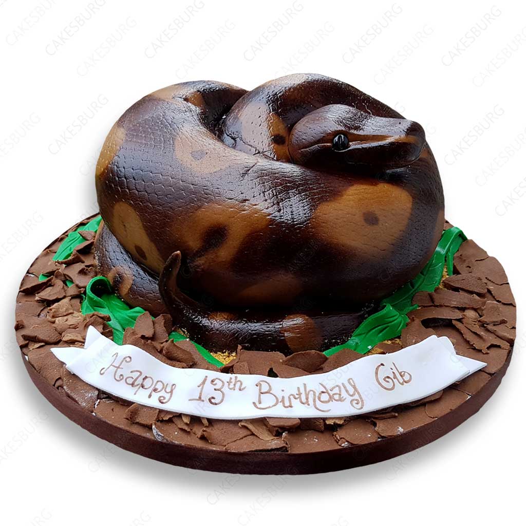 Python Snake Cake