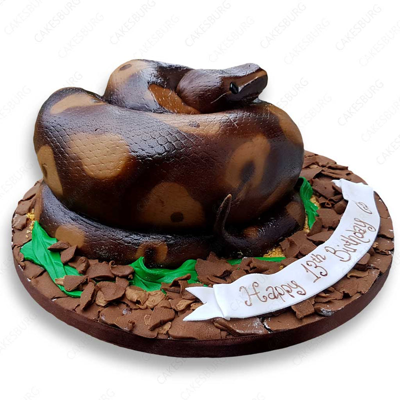 Python Snake Cake