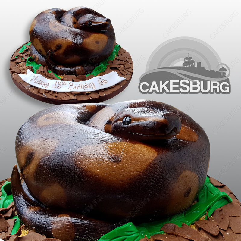 Python Snake Cake