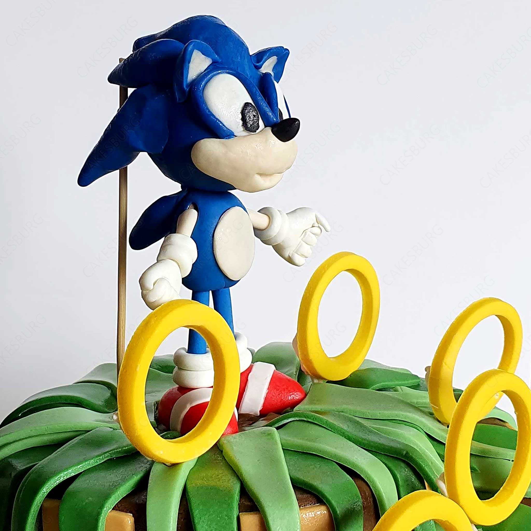 Sonic the Hedgehog & Tails Cake