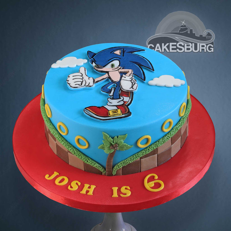 Sonic the Hedgehog Cake Topper Sonic the Hedgehog Shaker Cake - Etsy | Hedgehog  cake, Sonic the hedgehog cake, Sonic cake
