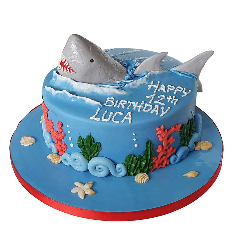 Pin by Ashley Fox on ALLIE 2ND BIRTHDAY | Shark birthday cakes, Baby  birthday cakes, Shark cake
