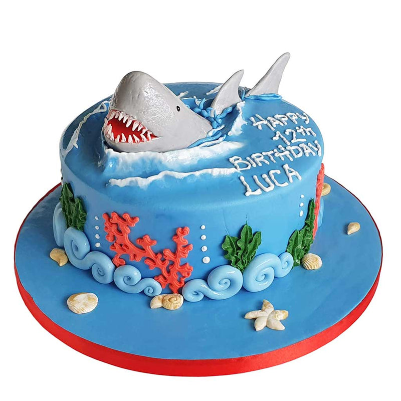 Big White Shark Cake