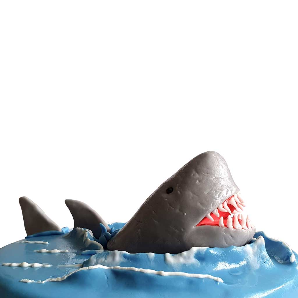 Big White Shark Cake