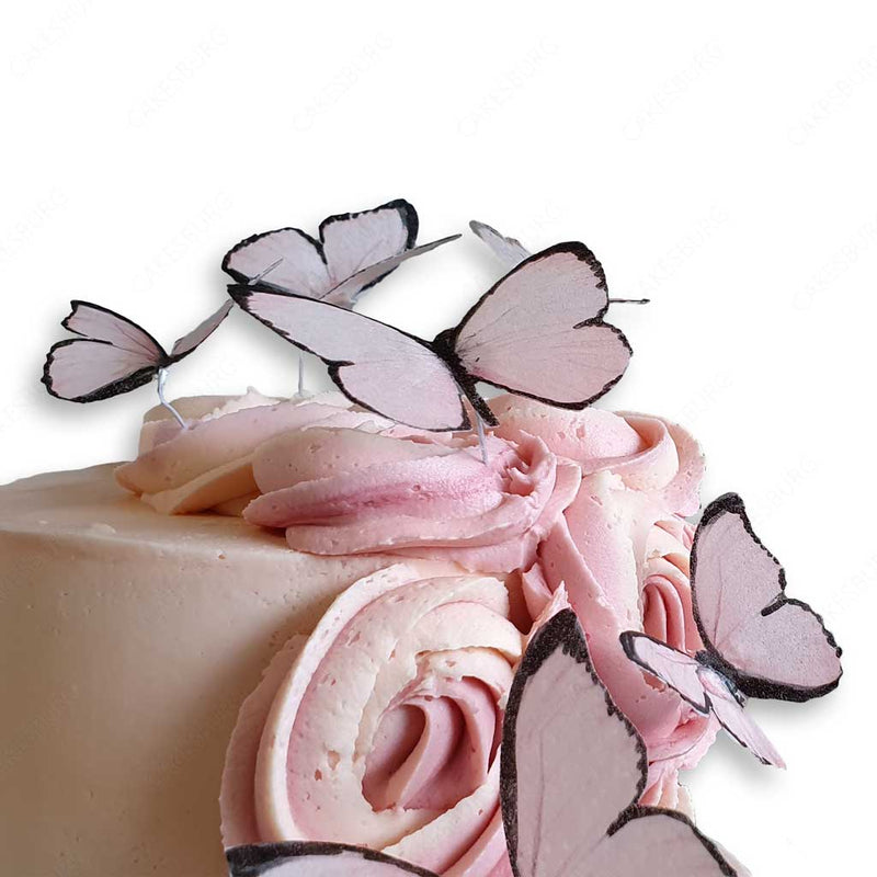 Elegant Butterfly Buttercream Cake