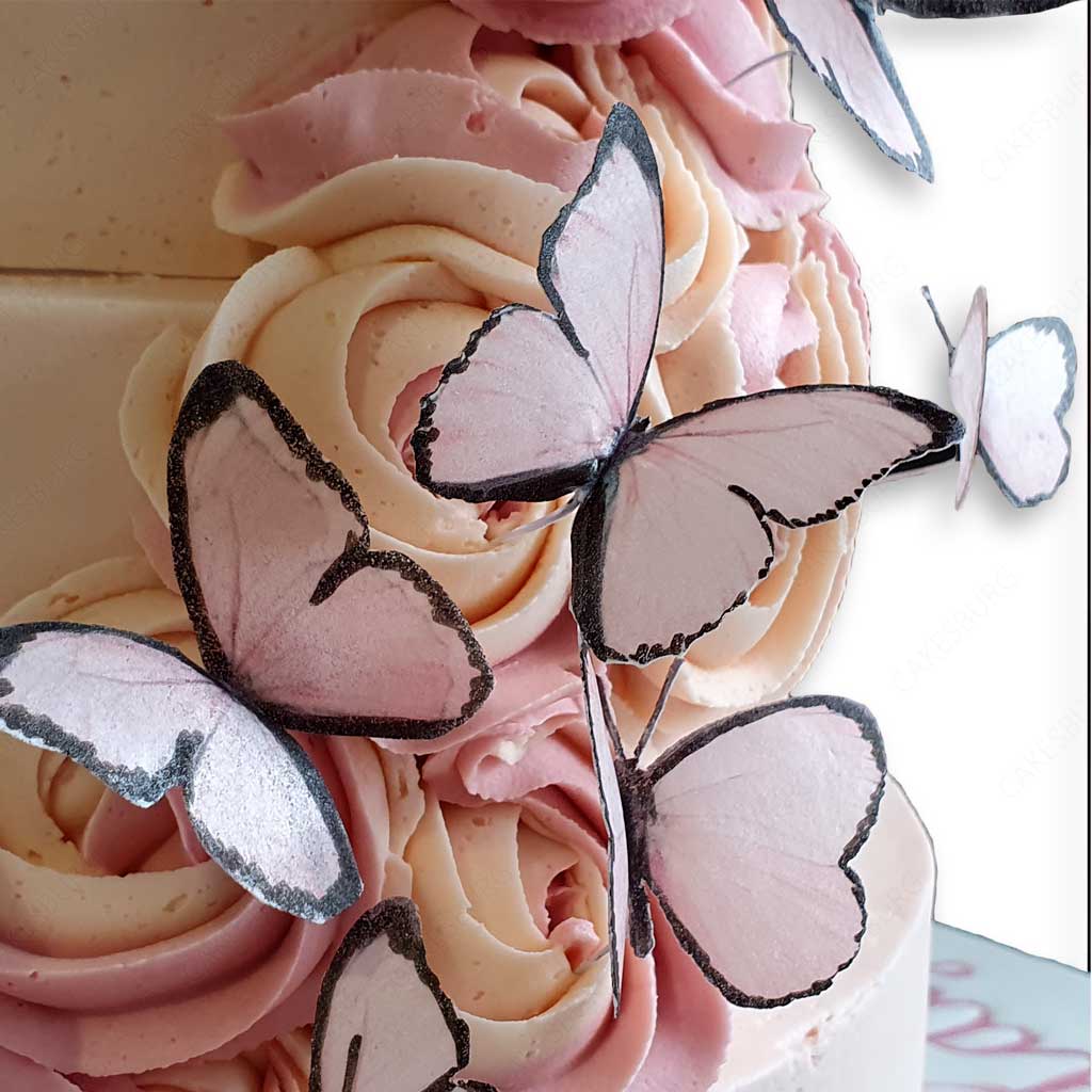 Elegant Butterfly Buttercream Cake