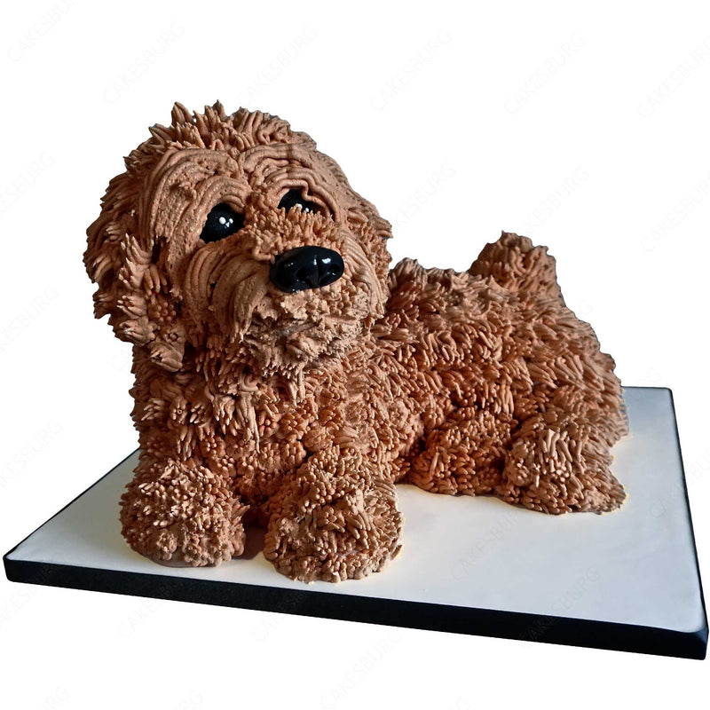 Cockapoo Dog Cake - Brown