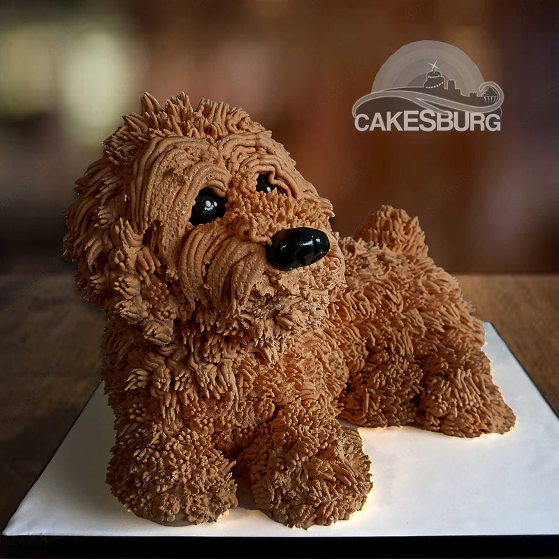 Cockapoo Dog Cake - Brown