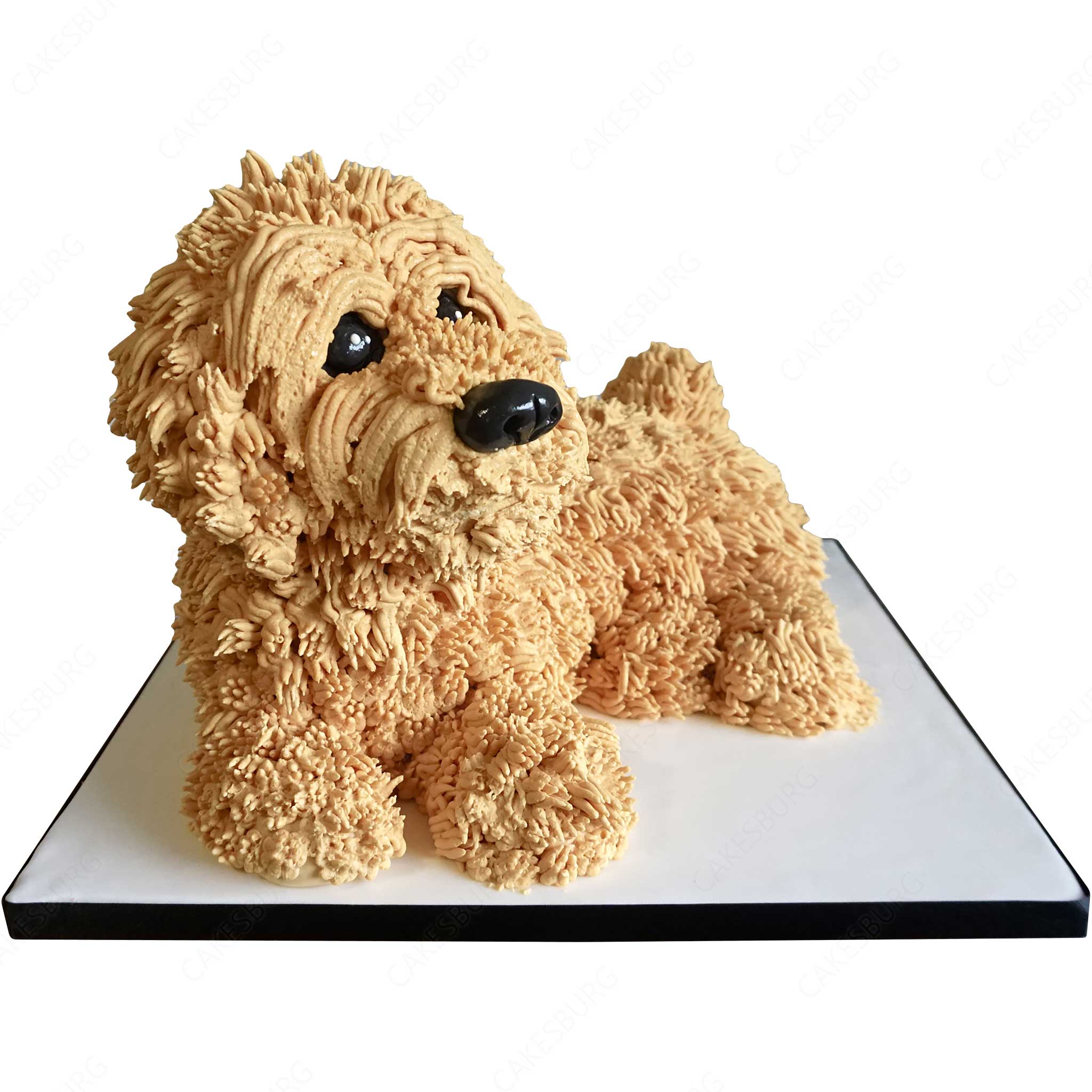 Cockapoo Dog Cake - Tan - [TOP SELLER]