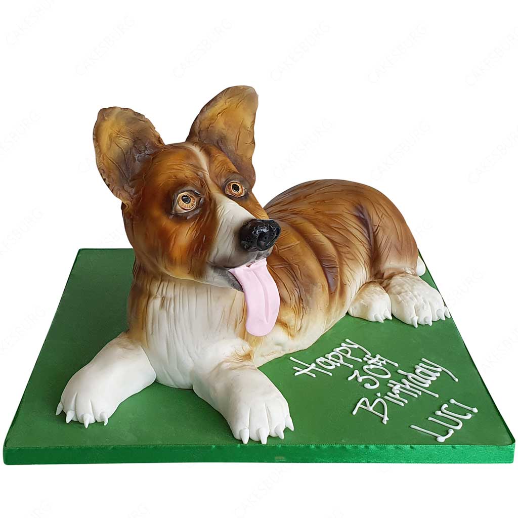 Dog Cake #4