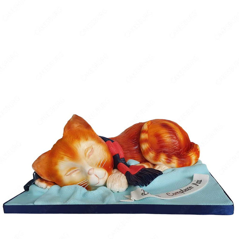 Sleeping Cat Cake