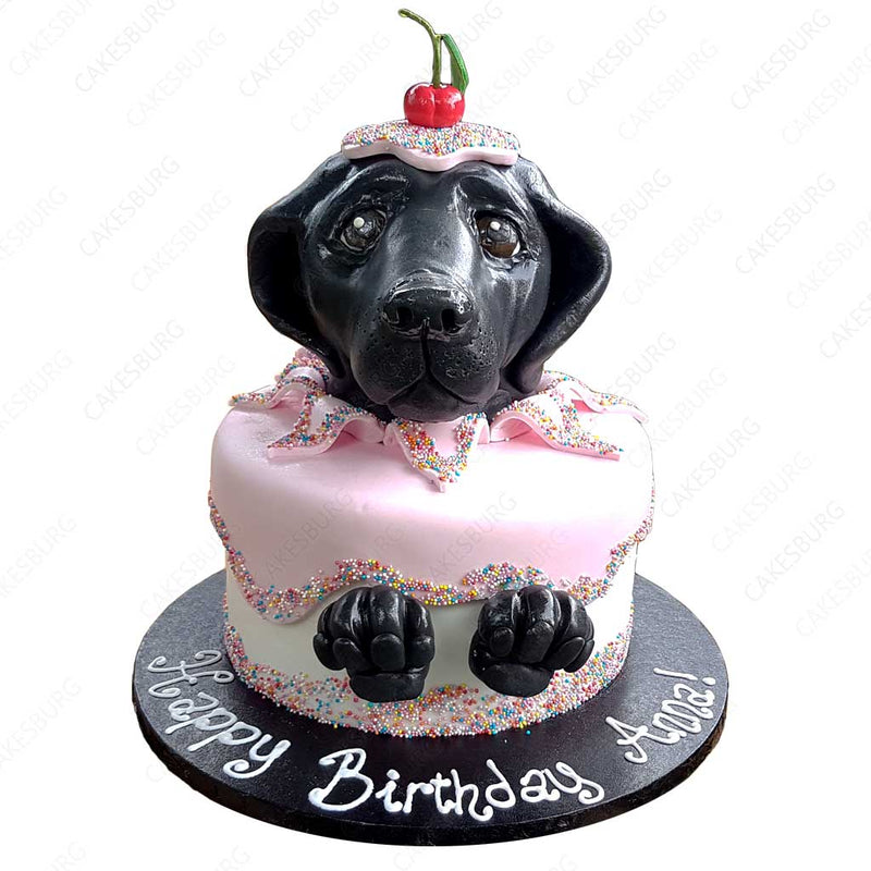 Labrador Dog Cake