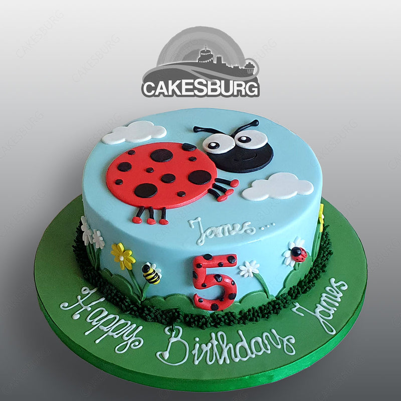 Ladybird Cake