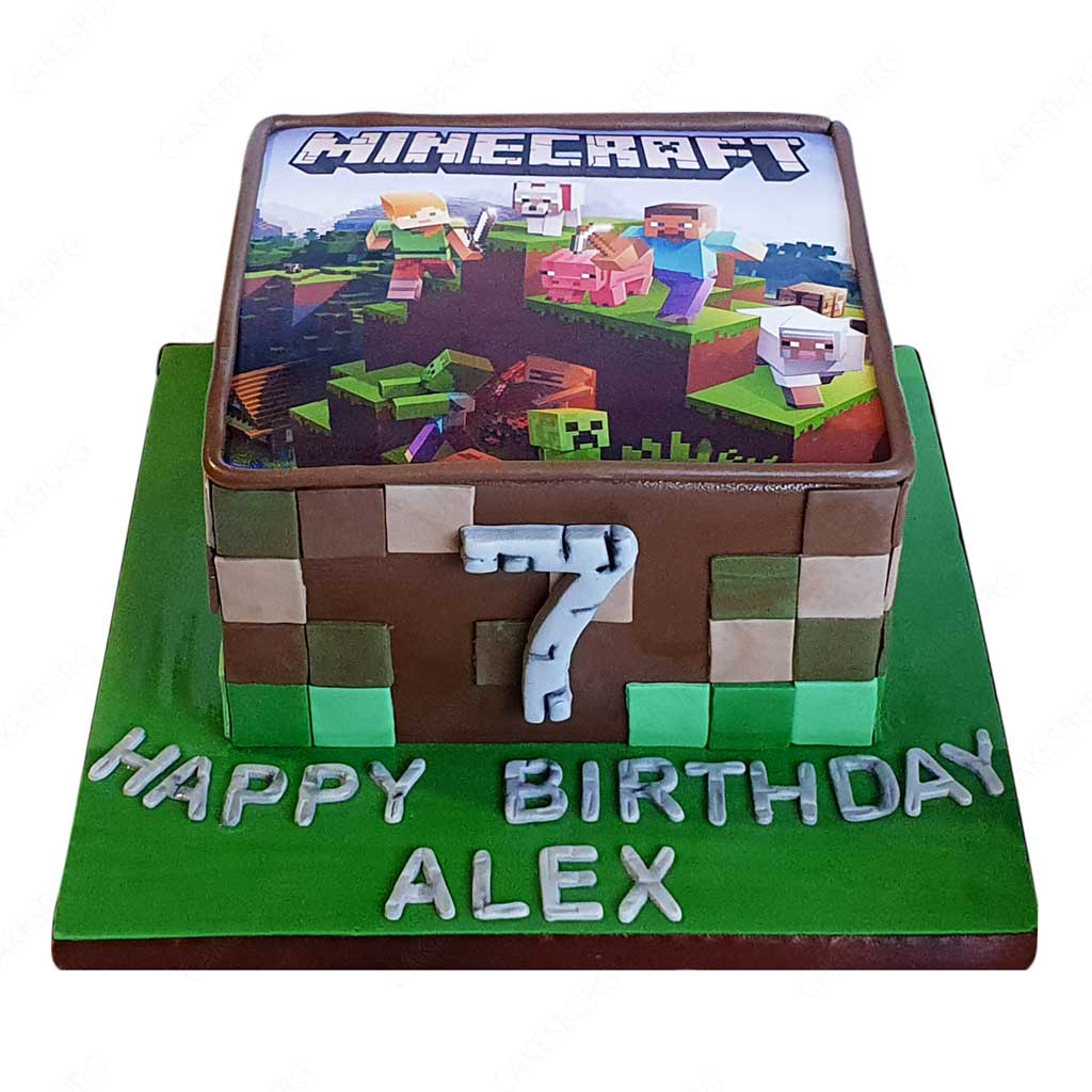 Minecraft Cake | Tejal's Kitchen