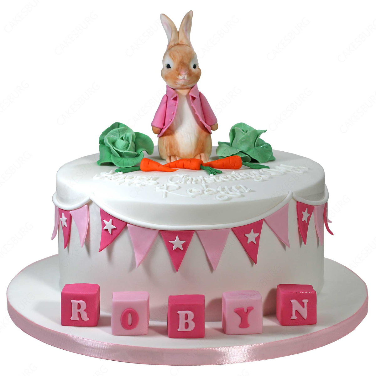 Peter Rabbit Cake #4