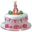 Peter Rabbit Cake