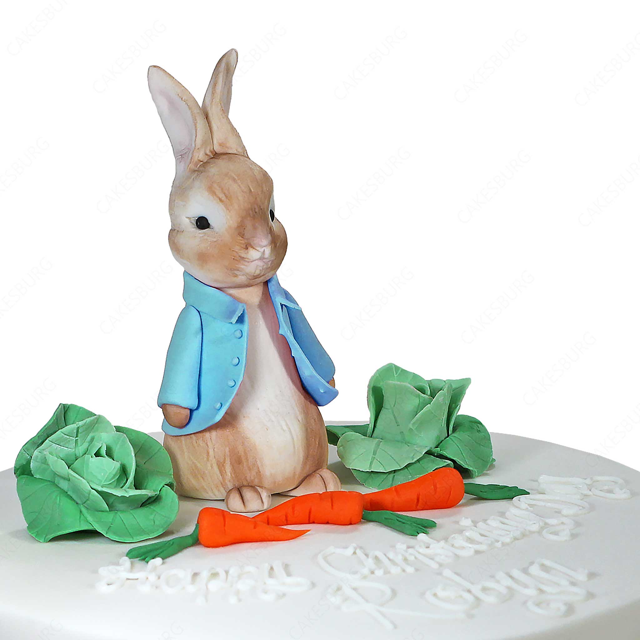 Peter Rabbit Cake #1