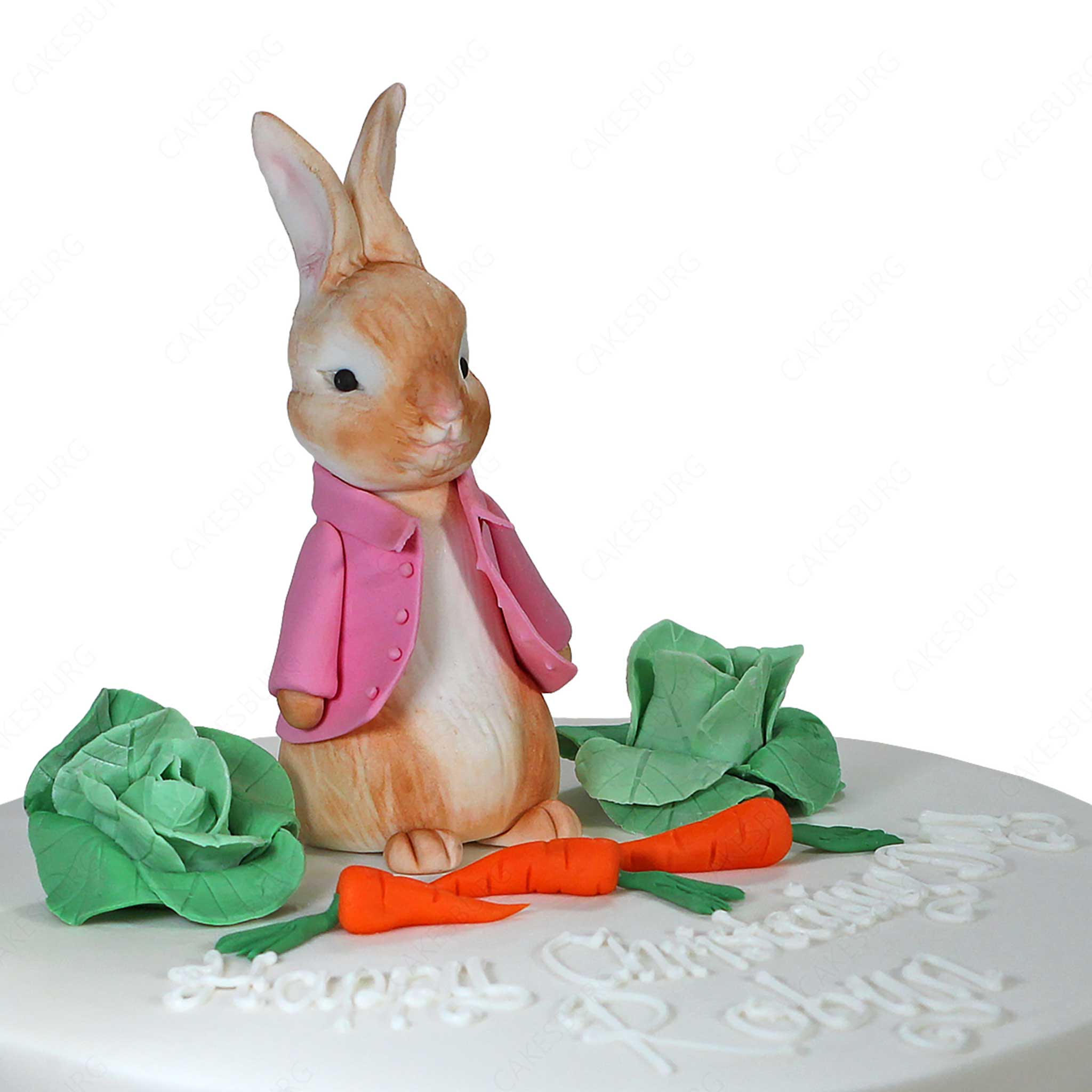 Peter Rabbit Cake #4
