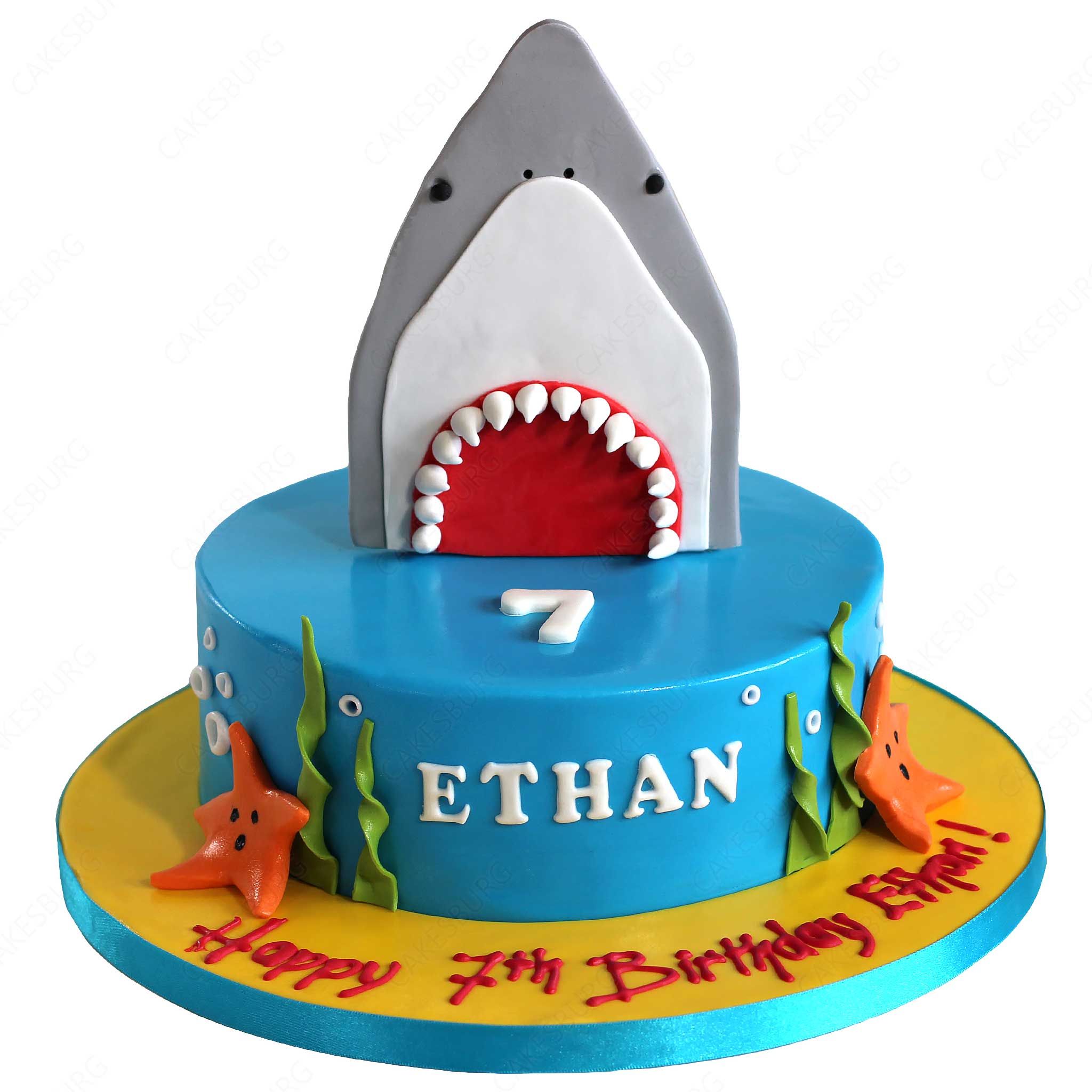 Shark Cake #1